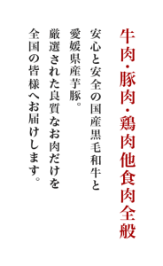 main_copy001_260915